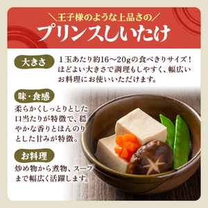 北海道産 厚岸町 上尾幌 菌床栽培 キングしいたけ 1パック プリンスしいたけ 2パック 