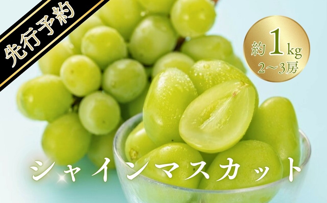 
            【2025年先行予約】シャインマスカット 約1kg(2~3房)｜ 果物 フルーツ 白ぶどう 葡萄 ブドウ 種無し 種なし 皮ごと 千曲市 長野県 信州
          