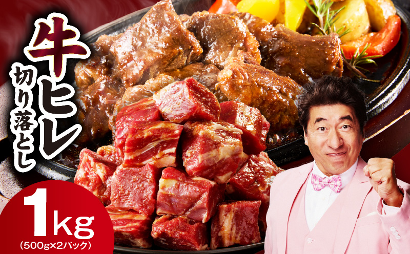 【訳あり】牛ヒレ肉 切り落とし 1kg【スピード発送 小分け 500g×2P 氷温熟成×特製ダレ サイズ不揃い やわらか ステーキ ひと口サイズ カット済み 大阪 泉佐野 大阪府 泉佐野市】