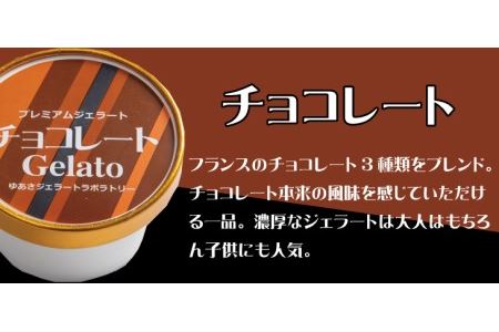 プレミアムジェラート チョコレート12個セット アイスクリームセット 100mlカップ ゆあさジェラートラボラトリー【ntbt700-03】