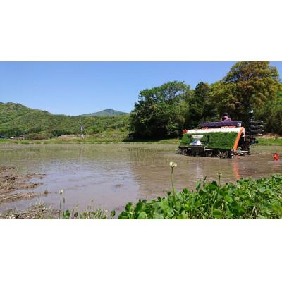 ふるさと納税 吉賀町 【令和7年10月中旬より順次発送】令和7年産コシヒカリ精米5kg(吉賀町産)(吉賀町) |  | 02