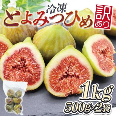 ふるさと納税 宮若市 訳あり冷凍いちじく「とよみつひめ」500g×2袋(1kg)(宮若市)
