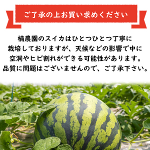 すいか 大玉 1玉 約 5～7kg すいか
