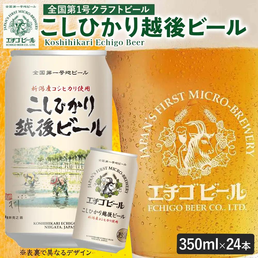 クラフトビール エチゴビール こしひかり越後ビール 350ml 缶 24本 〔P-447〕 クラフトビール 地ビール コシヒカリ 那須町