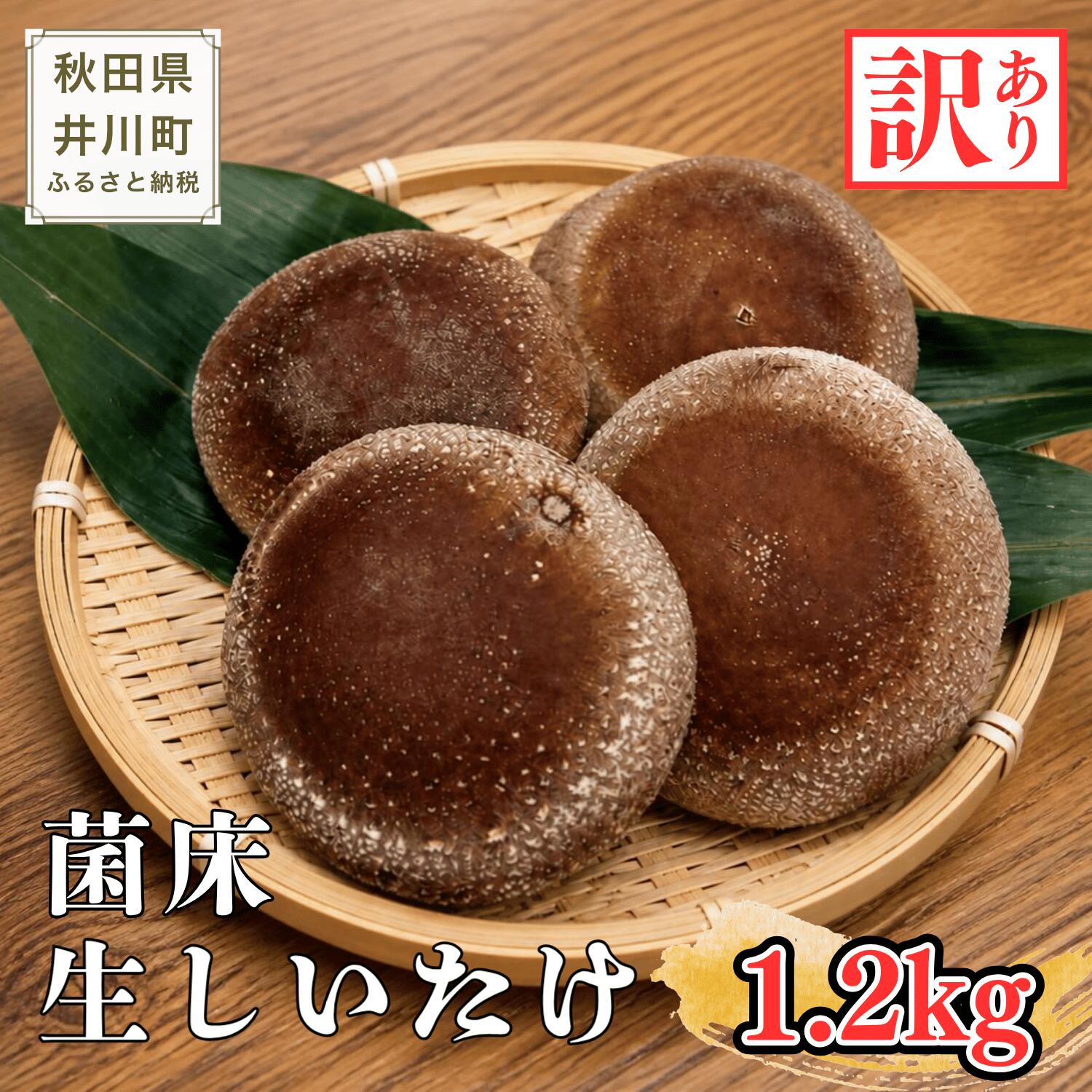 【ふるさと納税】肉厚 菌床 生しいたけ 1.2kg 【訳あり品】秋田県井川町産