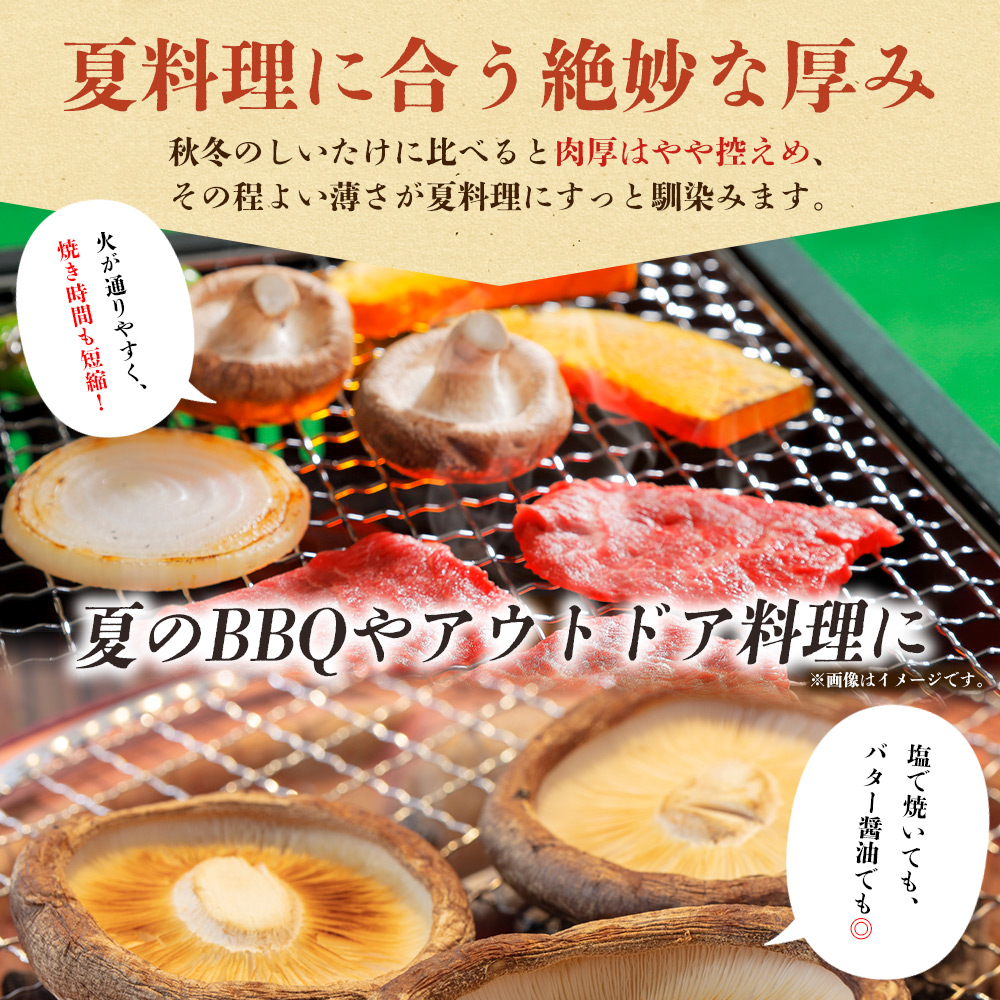 ＜夏季限定 原木生しいたけ（優品） 100g×5パック＞『2026年5月～10月に順次出荷予定』 合計500g 数量限定 期間限定 夏採れ 原木生椎茸 しいたけ シイタケ きのこ 優品 バーベキュー 