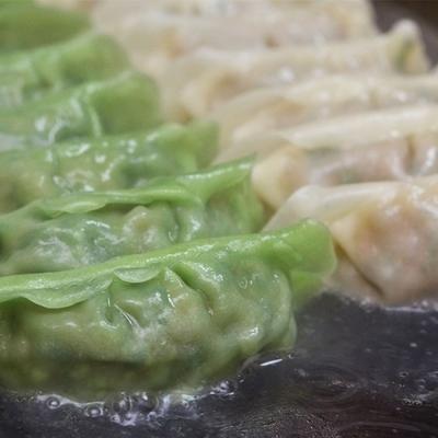 ふるさと納税 四万十市  四万十ひすい餃子・一本釣りカツオ餃子(8ヶ×2パック×2種)タレ付き　にんにく不使用 R5-013