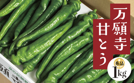 【2025年夏発送分】 京の伝統野菜 「万願寺甘とう」 秀品 1箱 1kg ： 甘い！美味い！辛くない！舞鶴発祥京のブランド産品 京野菜 伝統野菜 夏野菜 箱入り野菜 野菜1kg 舞鶴産野菜 京都の野菜 京野菜