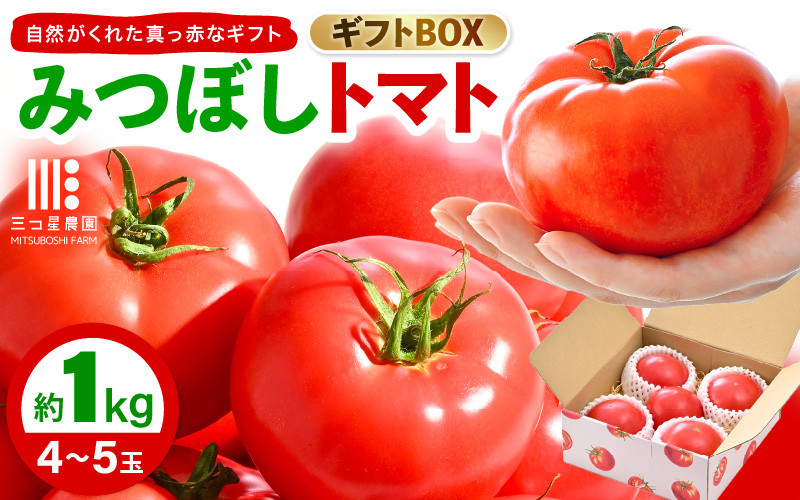 
                  みつぼしトマト☆自然がくれた真っ赤なギフト 約1kg 【とまと トマト 野菜 生野菜 新鮮 産地直送 贈答 ギフト 国産】 [A-2608]
                