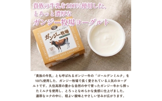 希少なガンジー牛の生乳100% ヨーグルト(加糖) 90g×24個セット