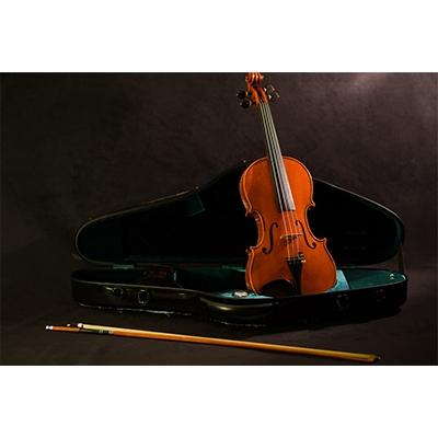 ふるさと納税 ふじみ野市 Kosuke Ikebuchi作　富士山バイオリン |  | 02