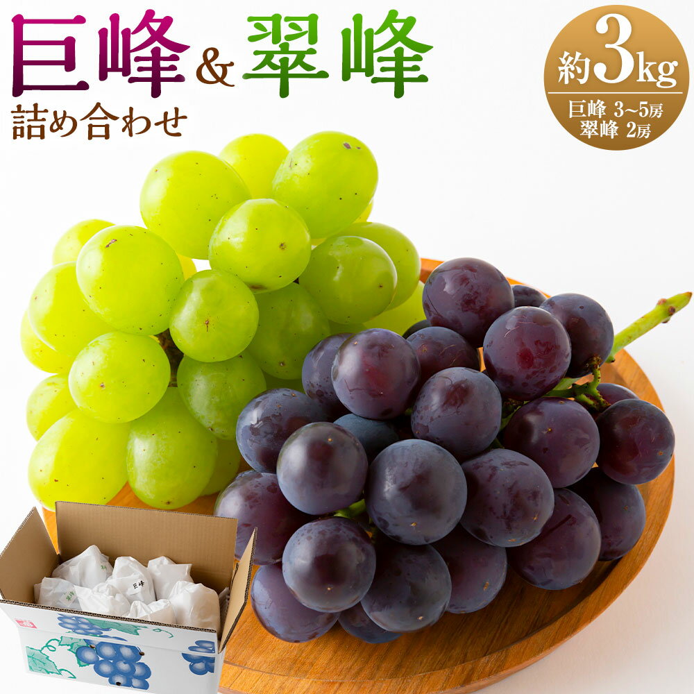 【ふるさと納税】秦果樹園 巨峰・翠峰 詰め合わせ 約3kg （巨峰 3から5房・翠峰 2房） 【2026年8月下旬～9月上旬より順次発送予定】 ブドウ ぶどう 葡萄 種無し 種なし フルーツ 果実 果物 冷蔵 送料無料 福岡県 うきは市