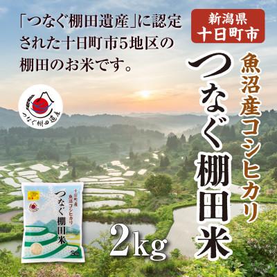 ふるさと納税 十日町市 令和7年産新潟県十日町市魚沼産コシヒカリ「つなぐ棚田米」精米2kg