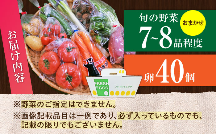 【数量限定】新鮮 卵 と 旬の 野菜 セット (野菜7-8品程度＋40個)  ／  たまご 生卵 タマゴ 詰合せ セット 熊本県 特産品 【有限会社さんふれあ】 [BHAK002]