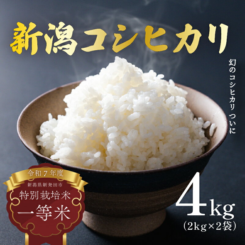 【ふるさと納税】 【発送日がわかる！】米 コシヒカリ 特別栽培米 従来 クラシック 2kg × 2袋 4kg 選べる 発送月 発送日 令和7年産 7年産 新米 新潟県産 お米 白米 ご飯 精米 玄米 酵素 玄米 玄米食 おにぎり 弁当 個包装 小分け 星野農園 新潟県 新発田市 hoshino003