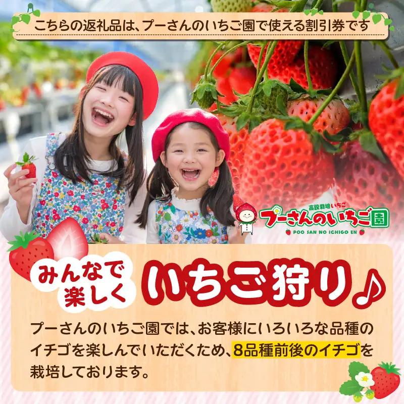 プーさんのいちご園　割引券（10,000円分） 【レターパック】イチゴ狩り あまおう 恋みのり 紅ほっぺ さがほのか かおり野 おいCベリー あまえくぼ よつぼし 高設栽培 多段式 バリアフリー 車椅