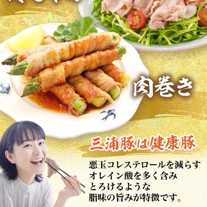 三浦豚 豚肉 ロース900ｇ（しゃぶしゃぶ用） / 恵那市 / あづま精肉店 [AUDL004]