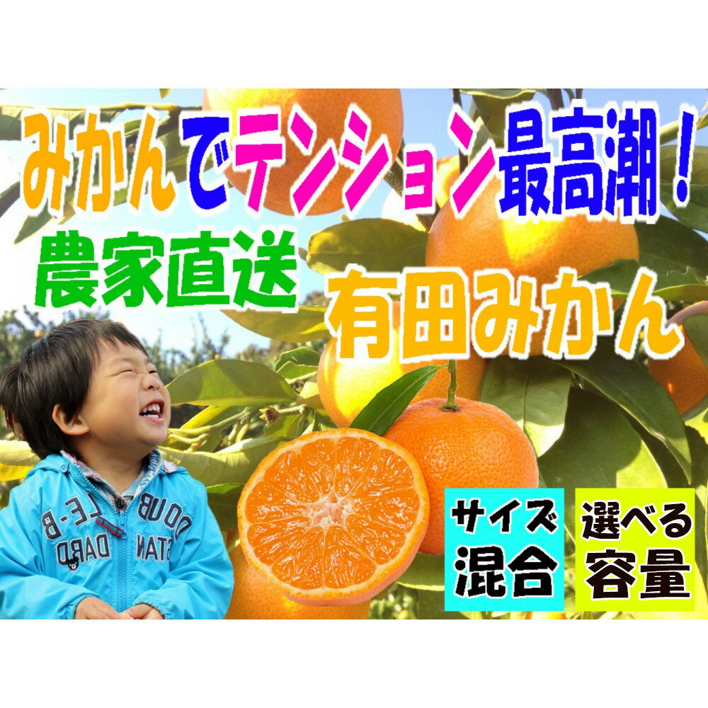 【ふるさと納税】【選べる重量】有田みかん 5～10kg サイズ混合 | みかん 蜜柑 フルーツ 果物 くだもの 食品 人気 おすすめ 送料無料