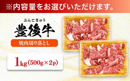 【訳あり】おおいた豊後牛 焼肉 切り落とし 1kg(500g×2P) 日田市 / 株式会社MEAT PLUS　牛 うし 黒毛和牛 和牛 豊後牛[AREI033]