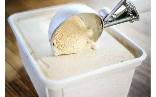 5種類から選べるアイスセット（1L×2個）《もりのふうアイス》＜1.2-22＞アイス アイスクリーム デザート おやつ 宮崎県西都市