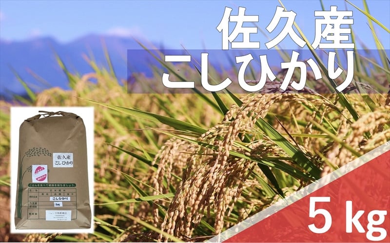 
            【令和6年産】長野県佐久平産　こしひかり・白米5kg　（北海道・沖縄・離島は配送不可）【米 コメ 白米 精米 お米 こめ おこめ 備蓄品 仕送り おすそ分け 備蓄米 コシヒカリ こしひかり 長野県 佐久市 】
          