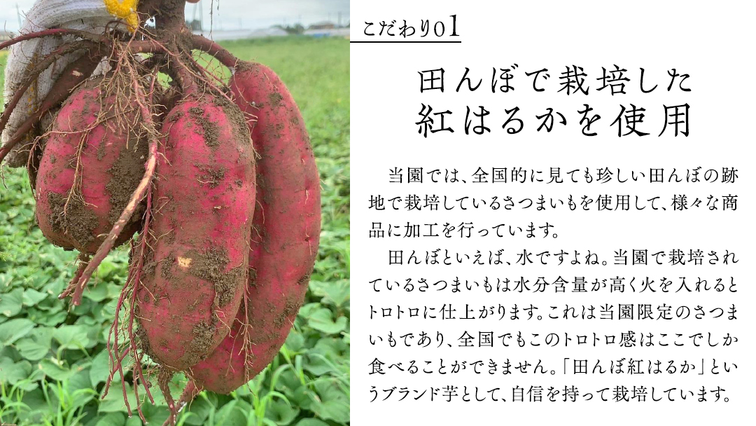 「田んぼ 紅はるか」で焼く、熟成焼き芋 1kg (500g×2梱包) 焼き芋 芋 さつまいも おやつ スイーツ 茨城 庄七農園