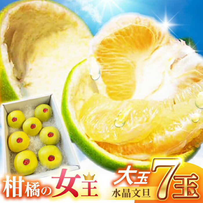 【ふるさと納税】 【先行予約】 南国土佐の女王柑橘 水晶文旦 約5kg 7玉入り〈2026年9月中旬〜2026年12月中旬頃発送〉/ 大玉サイズ ぶんたん 文旦 5kg 5キロ フルーツ 高知 名物 果物 柑橘 【フルーツショップオザキ】[ATAH010]