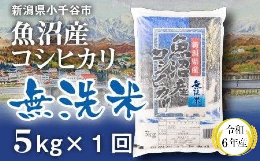 
KT13P342 令和6年産 魚沼産コシヒカリ 無洗米 5kg 白米 魚沼 米（米太）
