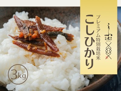 令和7年産 奥大山江府米コシヒカリ 3kg プレミアム特別栽培  こしひかり 精米 3ｷﾛ 0624