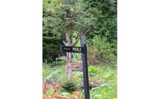 [010-71]MERLE　シュトレン