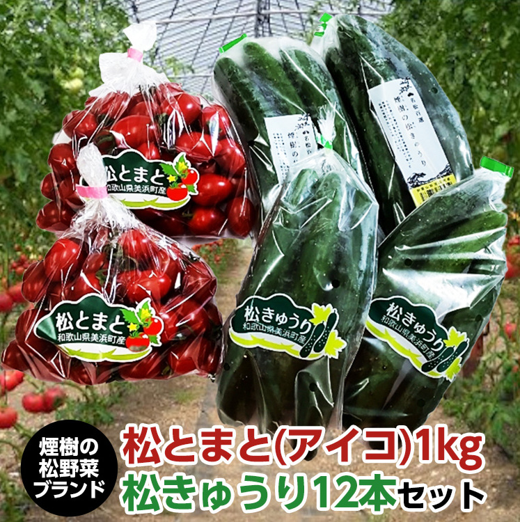 【煙樹の松野菜ブランド】
松とまと（アイコ）松きゅうりセット 2025年11月中旬～2026年6月上旬頃に順次発送予定