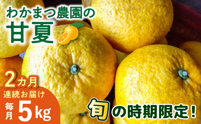 
【全2回定期便】【有機栽培】甘夏 5kg 栽培期間中 農薬不使用 糸島市 / わかまつ農園 果物 フルーツ [AHB052]
