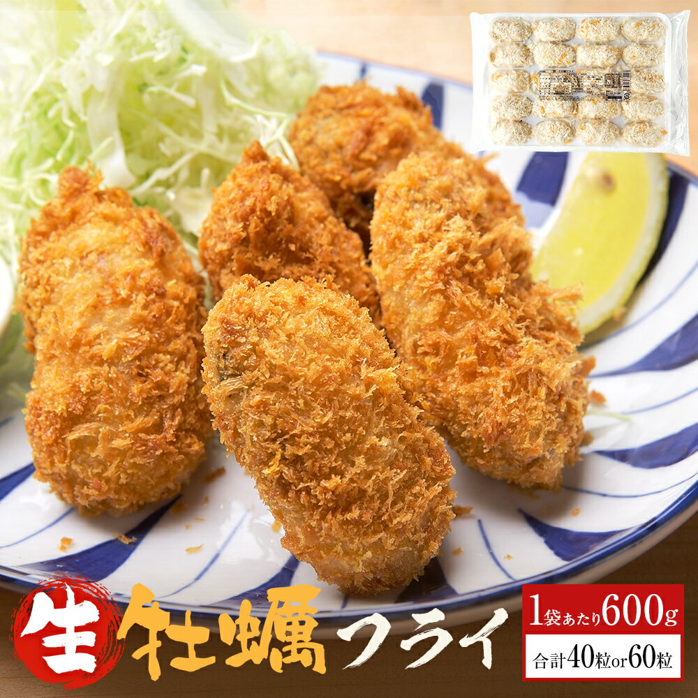 【ふるさと納税】三陸産カキフライ600g（20粒入）×2-3パックセット 冷凍 牡蠣 かき 大粒 海鮮 貝 揚げ物 オイスター おかず おつまみ 美味しい サクサク