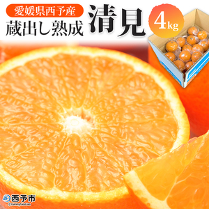 先行予約＜愛媛県西予市産 蔵出し熟成清見 約4kg＞ 果物 フルーツ みかん オレンジ きよみ  柑橘 特産品 ご自宅用 家庭用 食べて応援 愛媛県 西予市【常温】『2026年5月上旬～6月中旬迄に順次出荷予定』UUB0014