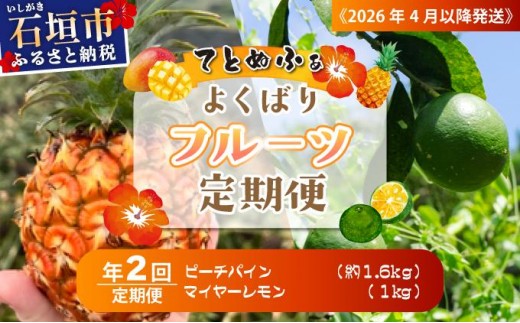 【定期便】よくばり定期便（ピーチパイン、マイヤーレモン）年2回 《2027年4月以降発送》 | 先行予約 沖縄 石垣 ピーチ パイン パイナップル 完熟 セット フルーツ デザート 食べ比べ 定期便 TF-092-t02