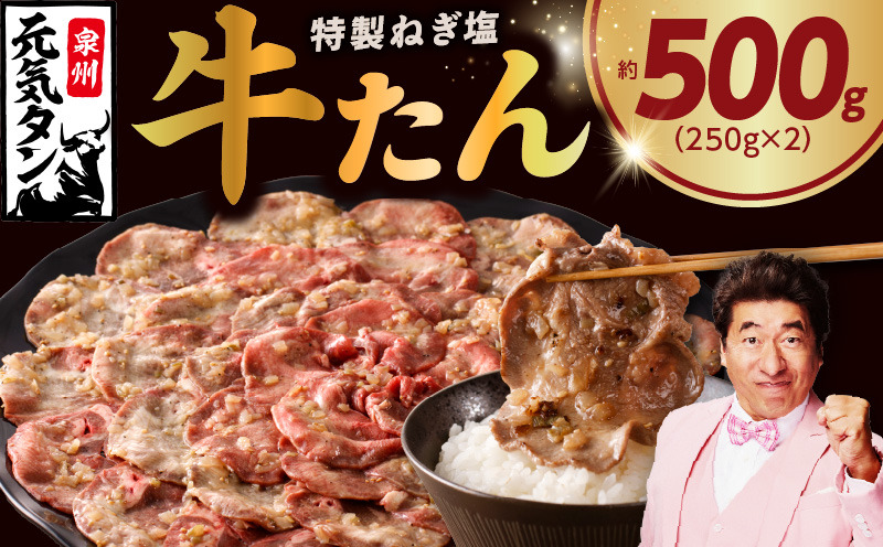 G1776 【スピード発送】ねぎ塩 牛たん 500g 小分け 250g×2【牛タン 牛肉 焼肉用 薄切り 訳あり サイズ不揃い】