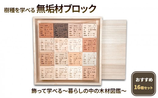 
            樹種を学べる 無垢材ブロック　おすすめ16種セット　 飾って学べる、暮らしの中の木材図鑑  [№5385-1224]
          