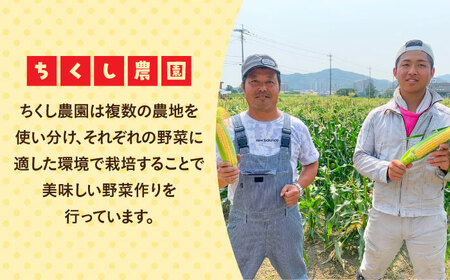 【5月末より発送】先行予約！朝採れ スイートコーン 約2.5kg（5~6本入り）とうもろこし ＜ちくし農園＞那珂川市[GDU002]