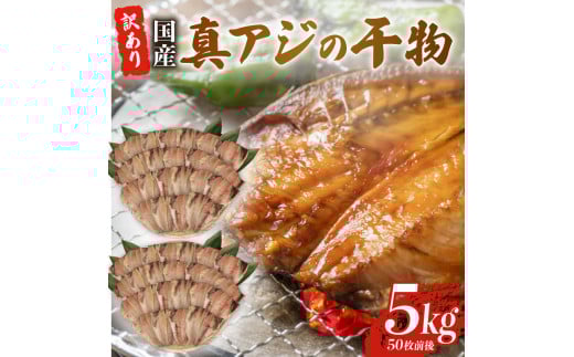 訳あり 真アジ 干物 約 5kg 約 50枚 ひもの 国産 あじ アジ 鯵 真あじ 冷凍 五十嵐水産 訳アリ 晩酌 おつまみ 簡単 お手軽 魚 魚介 干し魚 美味しい コスパ 人気 静岡 沼津 静岡県