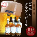 【ふるさと納税】青空エールこだわりのクラフトビール飲み比べ詰め合わせセット〈フルーツビール入り〉6種6本（330ml 瓶×3本、500mlペットボトル×3本）