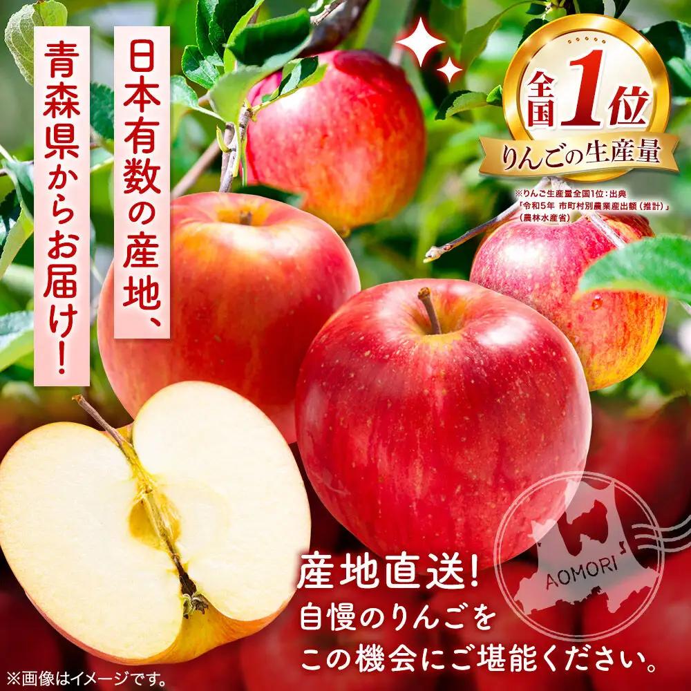 りんご 早生ふじ 訳あり約10kg【10月発送】りんご