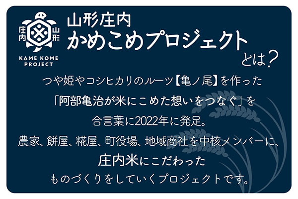 山形庄内かめこめプロジェクト 庄内米ギフト ササニシキ 300g×1袋 令和7年産 2025年産 ブランド米 コシヒカリの原点、亀の尾発祥の地 庄内 300g×1種　ササニシキ