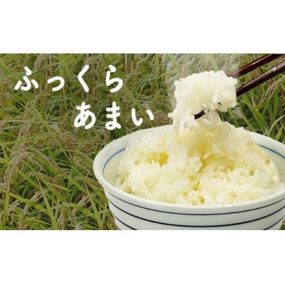 ふるさと納税 米子市 令和7年産　星空舞　5kg(5kg×1袋) |  | 01