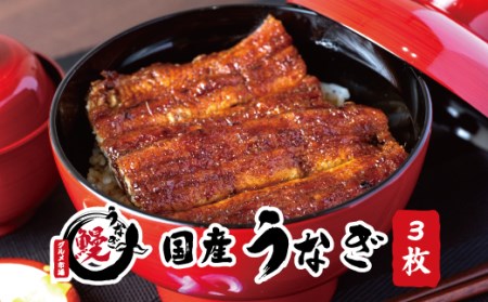国産うなぎ 関西風蒲焼 大サイズ３枚(合計約450g)薬味付【太地グルメ市場】 【miw106】