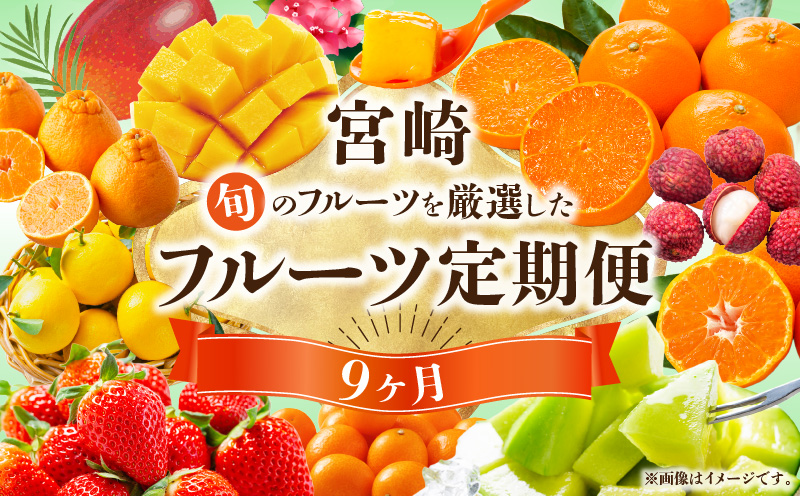【数量・期間限定】旬のフルーツ9ヶ月定期便vol.1 果物 フルーツ くだもの 定期便 フルーツ定期便 果物定期便 贈り物 おすそ分け 宮崎