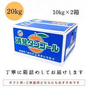 【まるで食べるジュース!越冬完熟品】愛媛産 清見オレンジ 20kg【H20-94】【1625385】