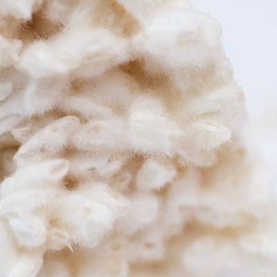 ふるさと納税 京都府 大阪屋の麹で作る手前味噌セット |  | 02