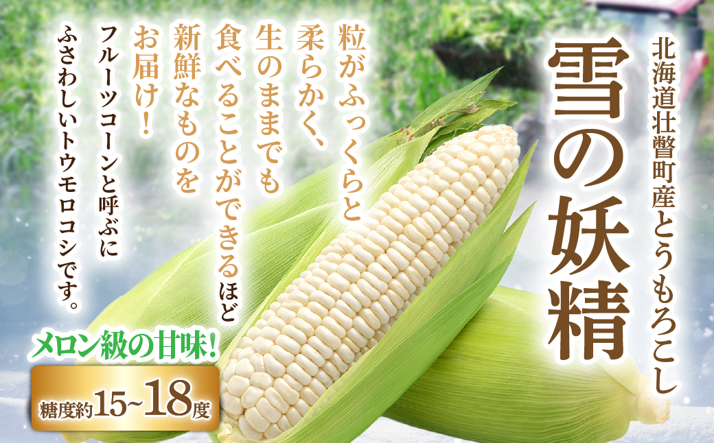 ＜2026年8月下旬よりお届け＞【朝採り】北海道壮瞥産 白いとうもろこし「雪の妖精」Lサイズ12本(約4kg) SBTQ001