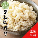 【ふるさと納税】【令和6年産】新米 コシヒカリ 玄米 5kg《 特別栽培米 》重永農産 世羅 こしひかり ごはん お米 米 玄米ご飯 美容 ダイエット 令和6年 A058-01