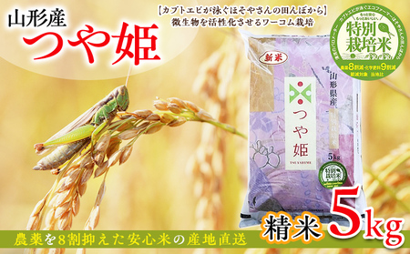 令和7年度産 山形産 「つや姫」5kg (精米) 特別栽培米 8割減農薬・9割減化学肥料（当地比）【カブトエビが泳ぐほそやさんの田んぼから】微生物を活性化させるワーコム栽培 FY25-125